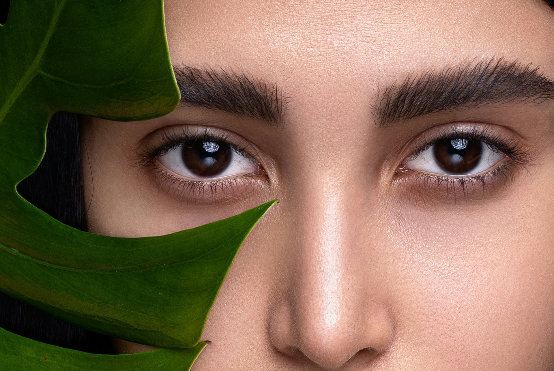 Royal Ombre Brows -  Eyebrow Treatments -Scunthorpe | Lincolnshire